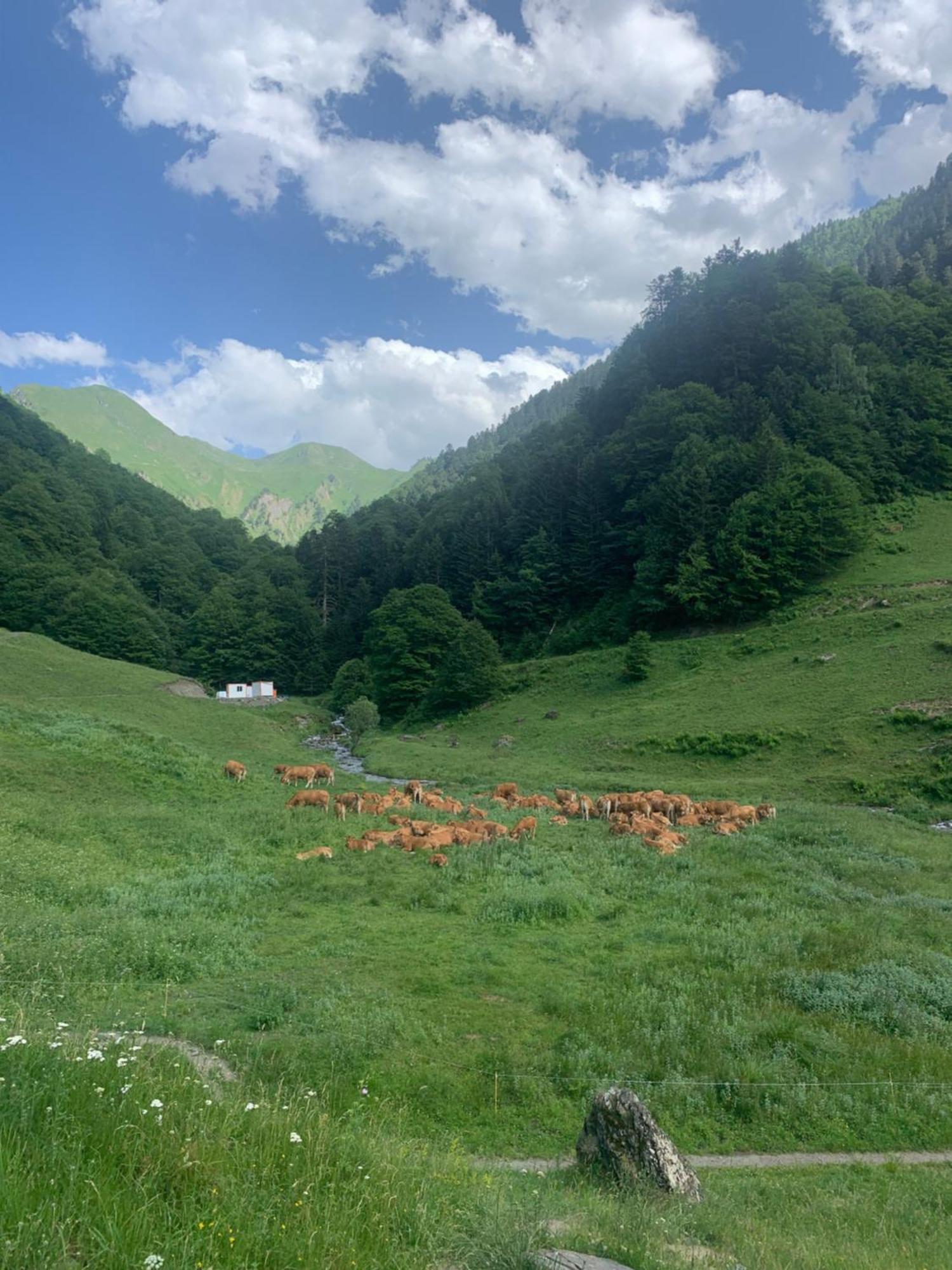 Appartement 2 Personnes Cures Ski Luchon Bagnères-de-Luchon エクステリア 写真